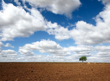 Ploughed field clipart