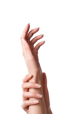 Handshandshandshandshandshandshandshandshandshandshandshandshandshandshands