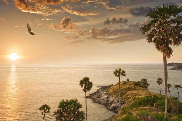 Panoramatický pohled na pěkné tropic island při západu slunce — Stock fotografie