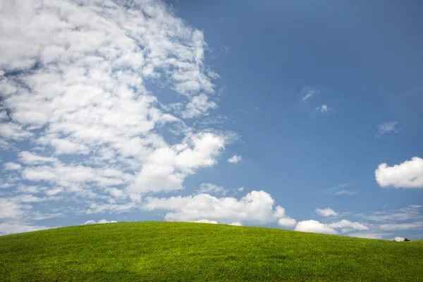 Панорамний вид на гарний зелений пагорб на фоні блакитного неба — стокове фото