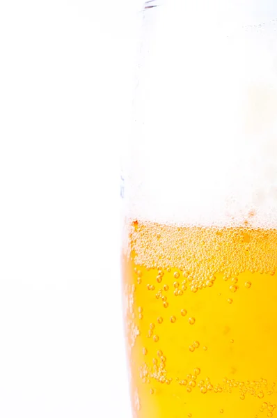 新鮮なビールの完全なマグカップ — ストック写真