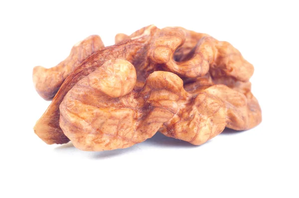 stock image Nut on white background