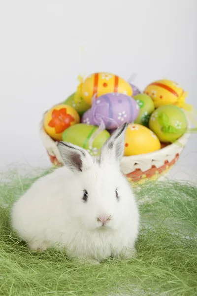 Conejo de Pascua frente a una cesta llena de huevos pintados —  Fotos de Stock