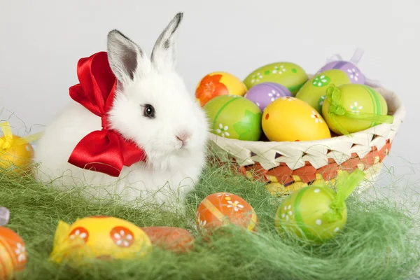 Conejo de Pascua con lazo rojo, sentado en la hierba, rodeado de color —  Fotos de Stock