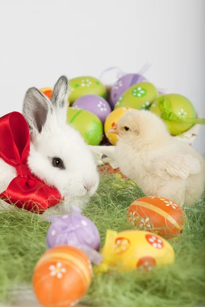 Schattig konijntje en kleine baby kip, omgeven door paaseieren — Stockfoto