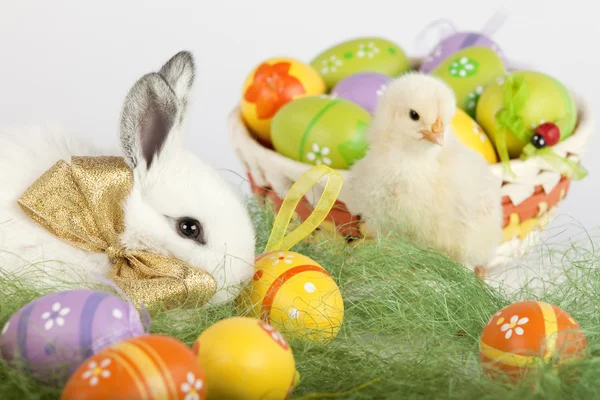 Carino coniglietto e pollo bambino seduto sull'erba con uova di Pasqua in — Foto Stock