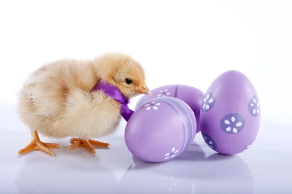 Um bebê bonito frango perto de três ovos de Páscoa — Fotografia de Stock