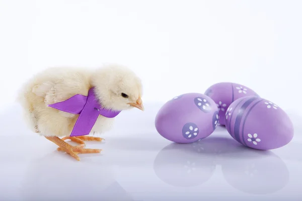 Один милый цыпленок рядом с тремя пасхальными яйцами — стоковое фото