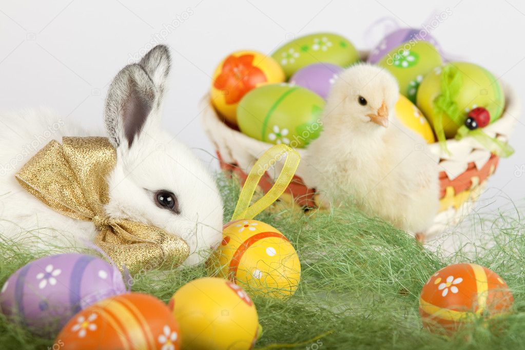 Cute bunny and baby chicken sitting on grass with Easter eggs in