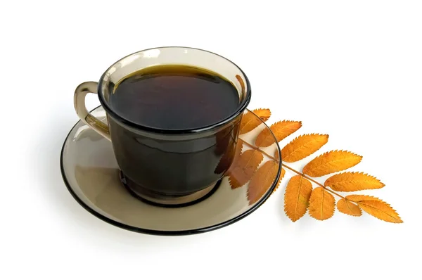 Xícara de café-marrom com uma folha de cinza de montanha — Fotografia de Stock