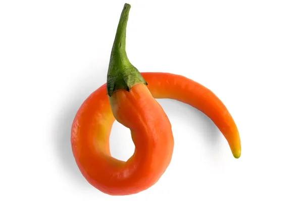 Curl orange peppar — Stockfoto