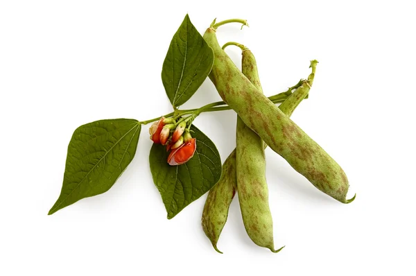 Green beans with a flower — Stok fotoğraf