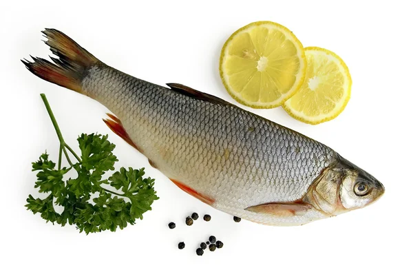 Свіжа риба з лимоном — стокове фото