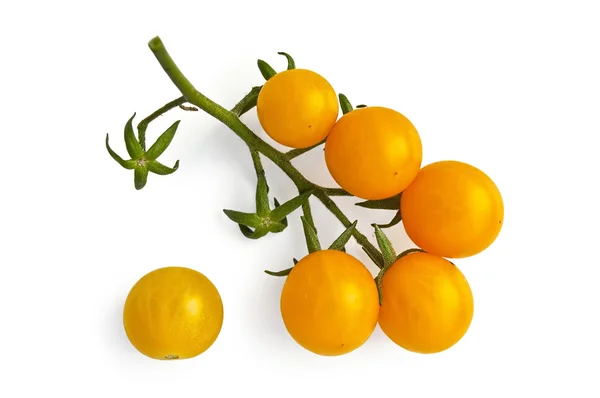 Pomodori ciliegia gialli — Foto Stock