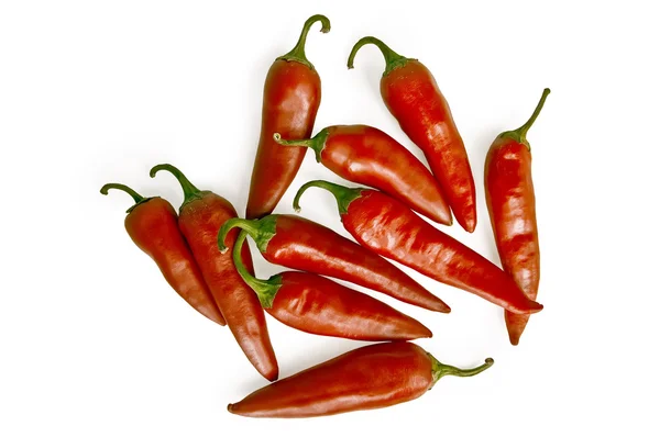 Några Röda Varm Paprika Isolerad Vit Bakgrund — Stockfoto
