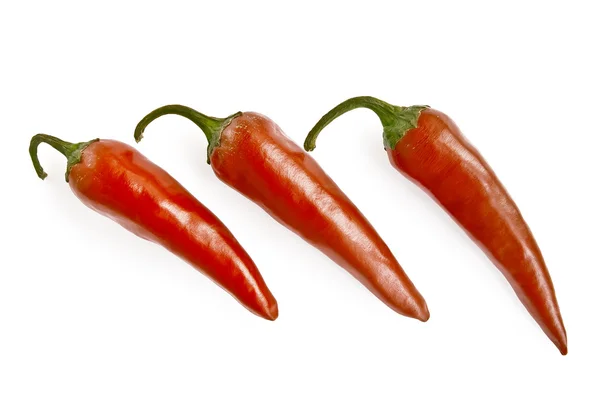 Três pimenta vermelha quente — Fotografia de Stock