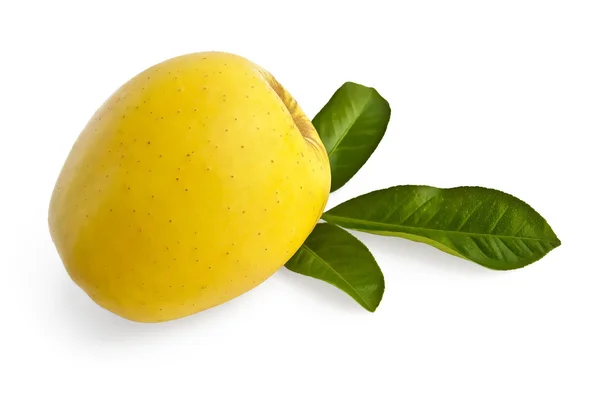 Żółte jabłko z liści — Zdjęcie stockowe