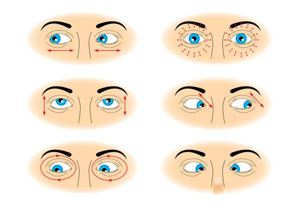 Упражнения для глаз — стоковый вектор