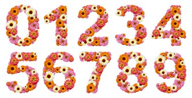 Numbers of flowers clipart