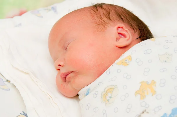 Novorozenci spí — Stock fotografie