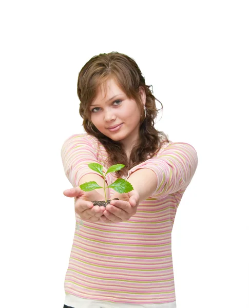Vértes portré egy szép boldog fiatal nő, gazdaság, növény — Stock Fotó