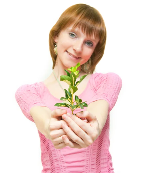 Όμορφα Ευτυχισμένη Νέα Γυναίκα Που Κρατά Φυτό — Φωτογραφία Αρχείου
