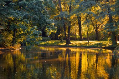 Golden pond in Lazienki Park in Warsaw clipart