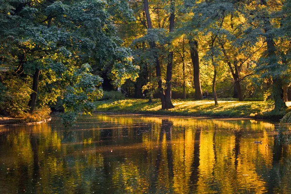 stock image Golden pond in Lazienki Park in Warsaw