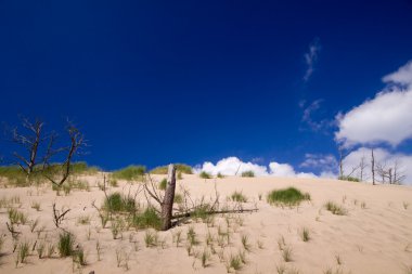 The moving sands in the Polish Desert near Leba clipart