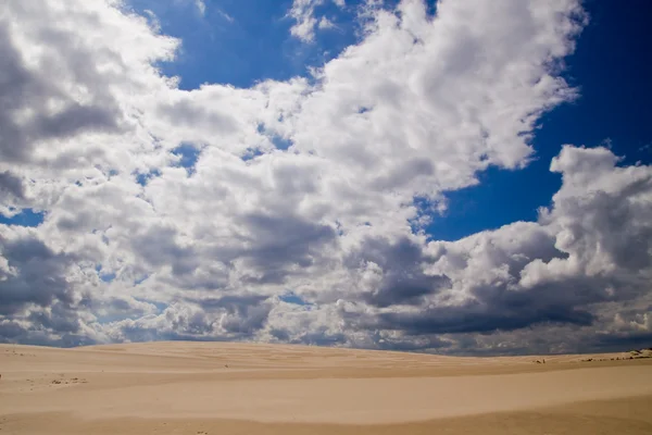 Der Bewegte Sand Der Polnischen Wüste Bei Leba — Stockfoto