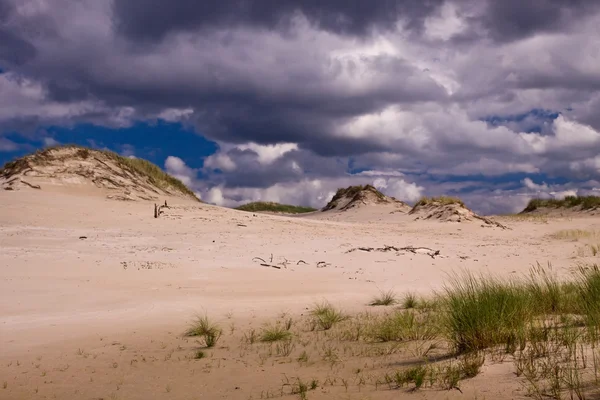 Moving dunes at the Baltic Sea — Stock Photo, Image