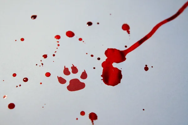 stock image Fake bloody paw trace