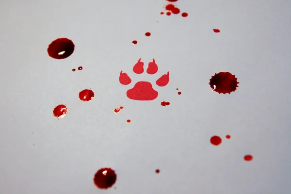 stock image Fake bloody paw trace