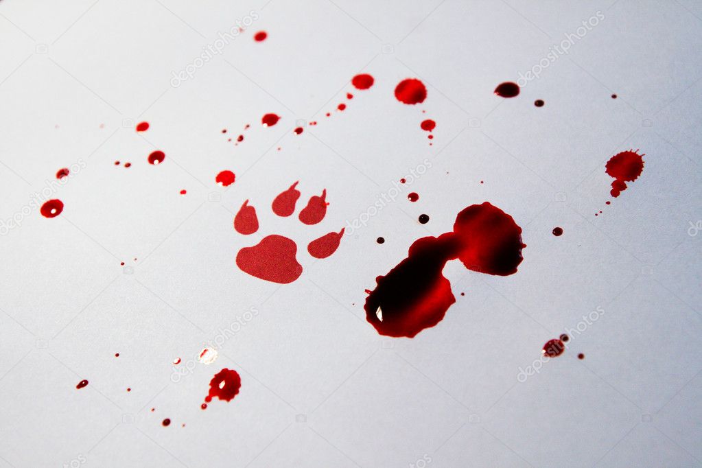 Fake bloody paw trace