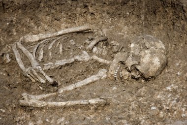 mezar mezar iskelet insan kemikleri