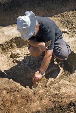 arkeolog excavatin iskelet