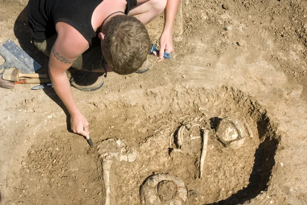 考古学家 excavatin 骨架 — 图库照片
