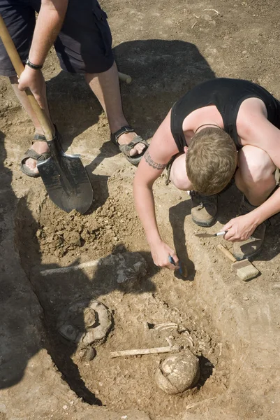 Археолог excavatin скелет — стокове фото