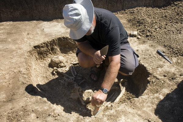 Archaeologist excavatin skeleton
