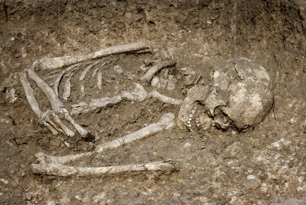 Grabskelett menschlicher Knochen — Stockfoto