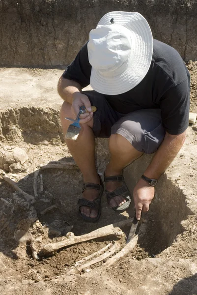Archaeologist excavatin skeleton — Stock Photo, Image
