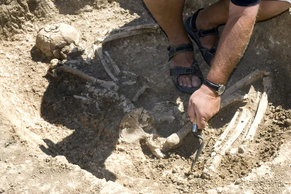 Archäologe gräbt Skelett aus — Stockfoto