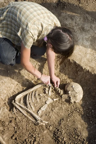 Archaeologist excavatin skeleton — Stockfoto