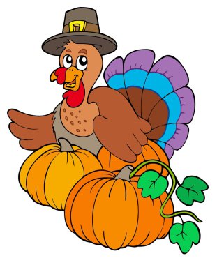 Thanksgiving turkey with pumpkins clipart