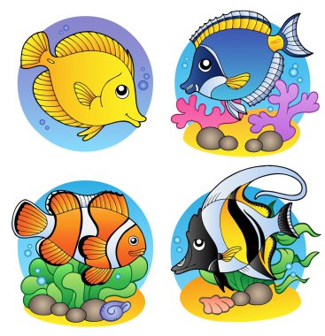 Various coral fishes clipart