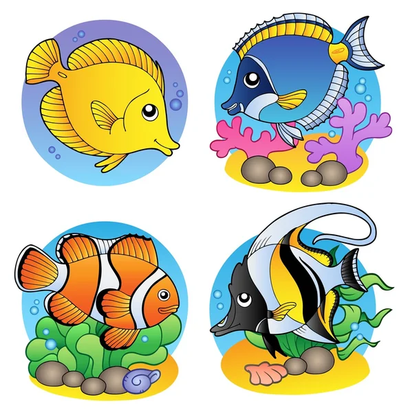 Vários peixes de coral —  Vetores de Stock