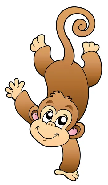 Macaco engraçado bonito — Vetor de Stock