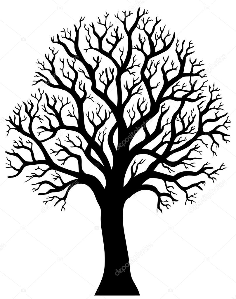 Silhouette of tree without leaf 2 — Stock Vector © clairev #4525460