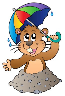Cartoon groundhog with umbrella - vector illustration. clipart