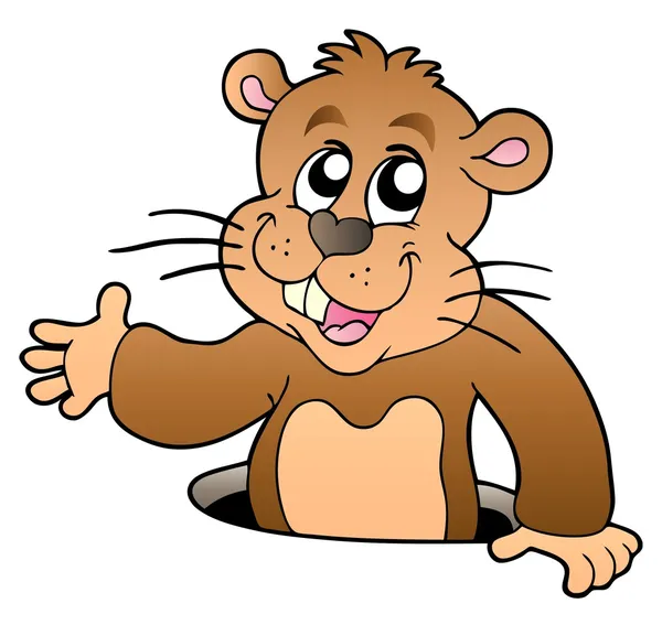 Dibujos animados marmota acechando desde el agujero — Vector de stock